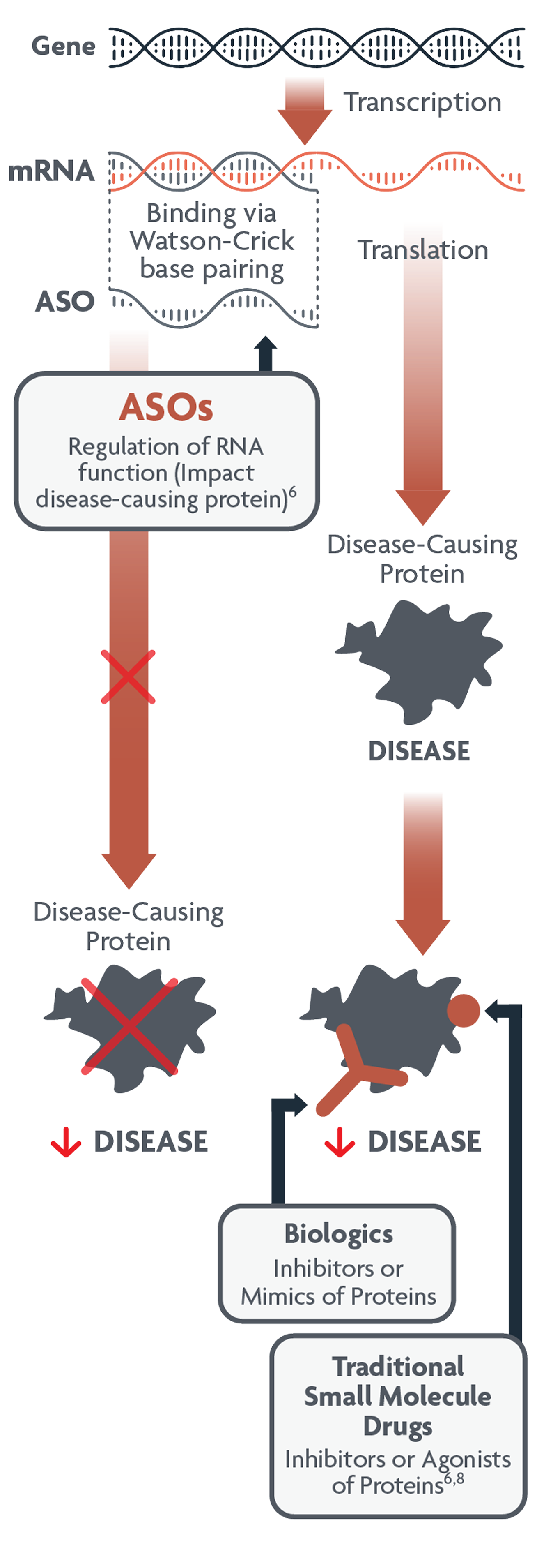 A graph showing ASOs modulate gene expression and target different aspects of disease-causing proteins.